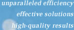 unparalleled efficiency, effective solutions, high-quality results